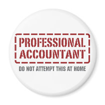 Professional Accountant magnets