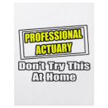 Professional Actuary...Don't Try This At Home Flyer Design