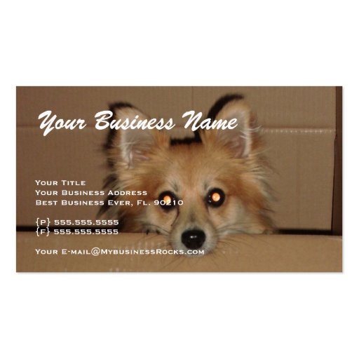 Professional Animal Grooming Business Cards