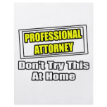 Professional Attorney...Don't Try This At Home Flyer Design