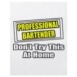 Professional Bartender...Don't Try This At Home Flyers