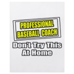 Professional Baseball Coach...Don't Try At Home Flyers
