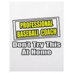 Professional Baseball Coach...Don't Try At Home Custom Letterhead