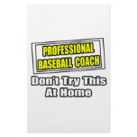 Professional Baseball Coach...Don't Try At Home Stationery Design