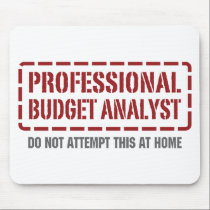 Professional Budget