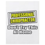 Professional Chiropractor...Don't Try At Home flyers