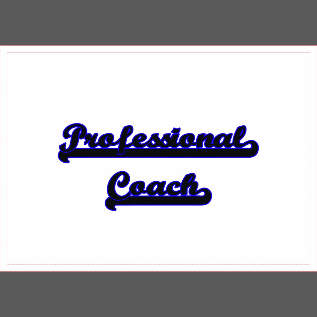 coach classic xi