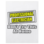 Professional Electrician...Don't Try This At Home Flyer