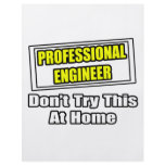 Professional Engineer...Don't Try This At Home flyers