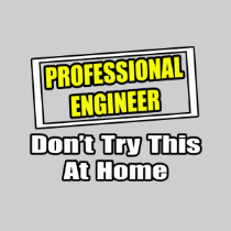 Professional Engineer...Don't Try This At Home Tshirt