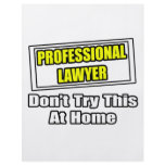 Professional Lawyer...Don't Try This At Home flyers