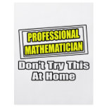 Professional Mathematician...Don't Try This flyers