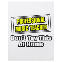 Professional Music Teacher...Joke flyers