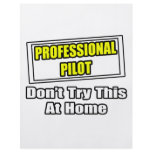 Professional Pilot...Don't Try This At Home Full Color Flyer