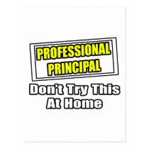 Professional Principal...Don't Try This At Home postcards