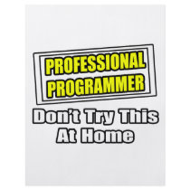 Professional Programmer...Joke flyers