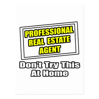 Real Estate Agent