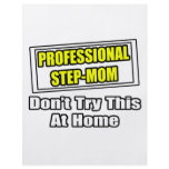Professional Step-Mom...Joke Custom Flyer
