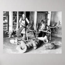 Professional Taxidermist: 1923 Poster