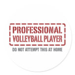 Professional Volleyball Player Stickers