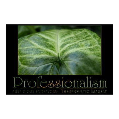 Professionalism Posters by JustBeDesigns