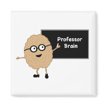 Professor Brain Magnet