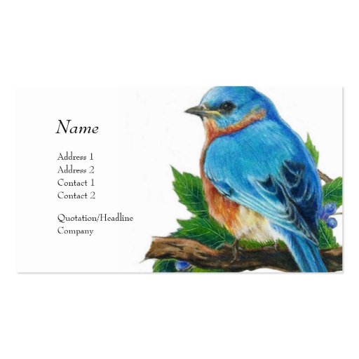 Profile Card - Bluebird Business Card Templates