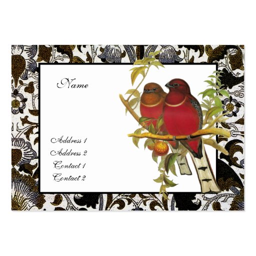 Profile Card Vintage Red-headed Trogon Birds Business Card Templates (back side)