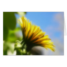 Profile - Golden Dandelion Greeting Card