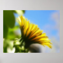 Profile - Golden Dandelion Print