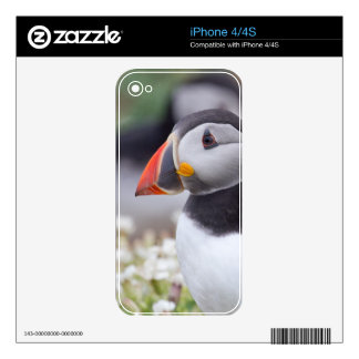 Profile of Puffin on Skomer Island Skins For iPhone 4S