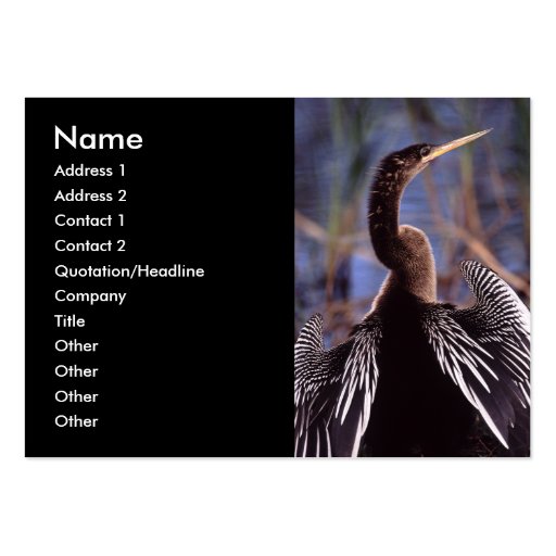 profile or business card, anhinga