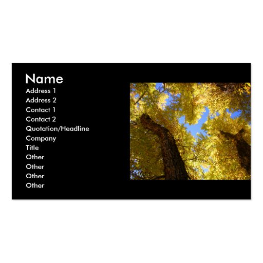 profile or business card, aspen (front side)