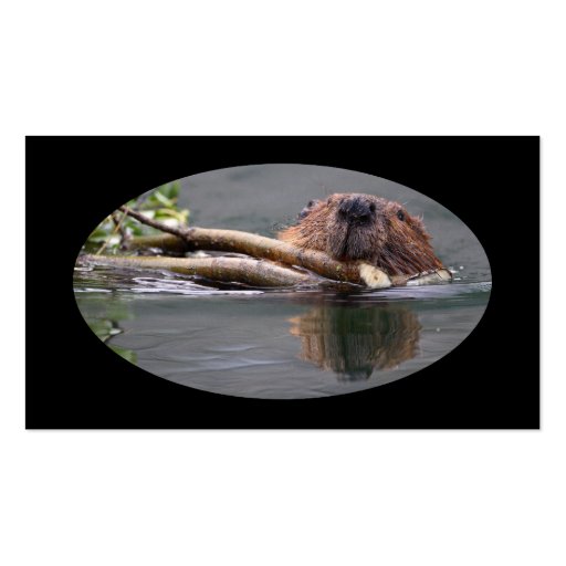 profile or business card, beaver (back side)