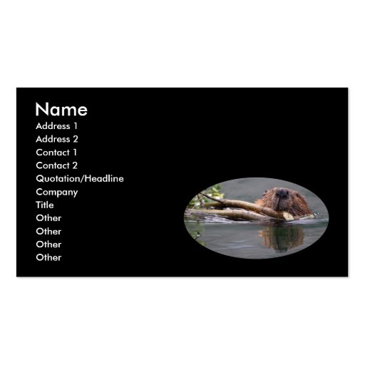 profile or business card, beaver