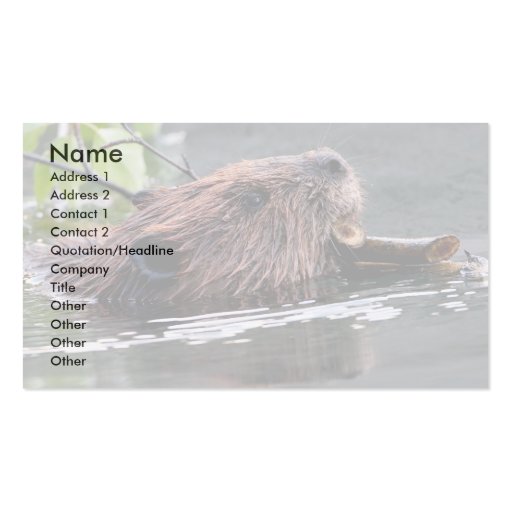 profile or business card, beaver
