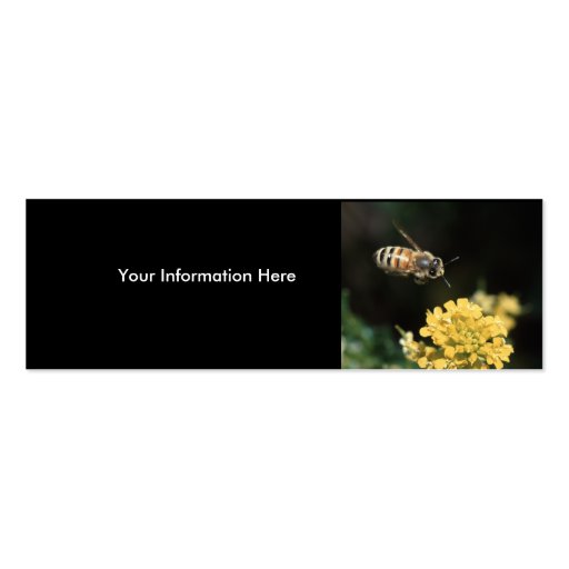 profile or business card, bee (front side)