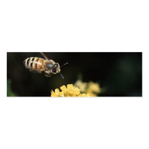 profile or business card, bee (back side)