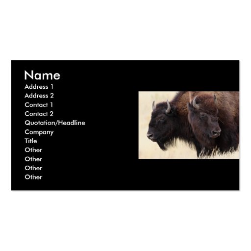 profile or business card, bison (front side)