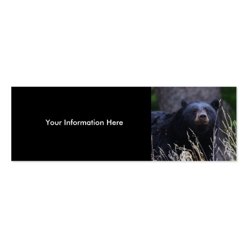 profile or business card, black bear