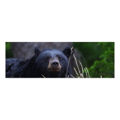 profile or business card, black bear (back side)