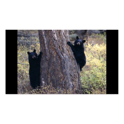 profile or business card, black bear cubs (back side)
