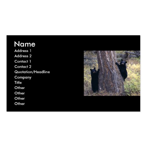 profile or business card, black bear cubs
