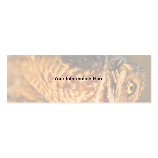 profile or business card, burrowing owl (front side)