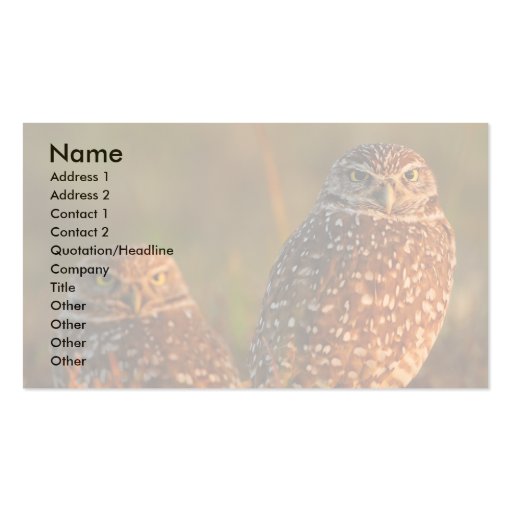 profile or business card, burrowing owls