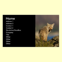 profile or business card, coyote business cards