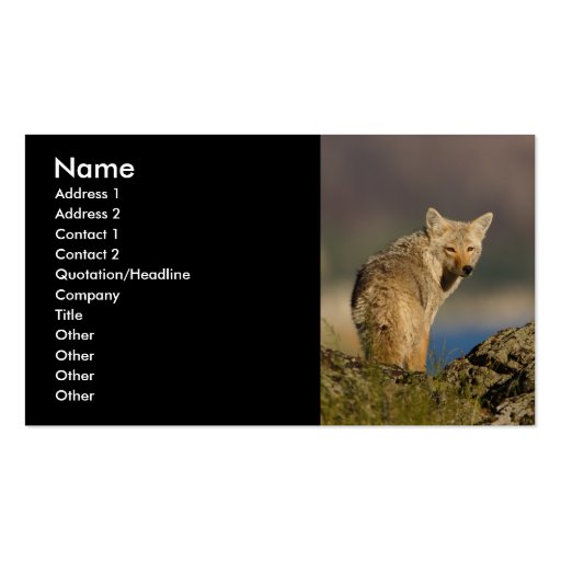 profile or business card, coyote (front side)