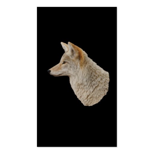 profile or business card, coyote (back side)