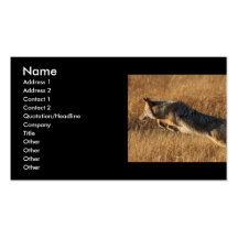 profile or business card, coyote jumping