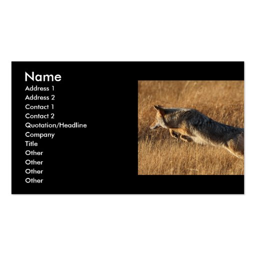 profile or business card, coyote jumping